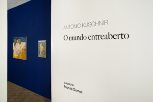 Exposição de Antonio Kuschnir estreia na WG Galeria